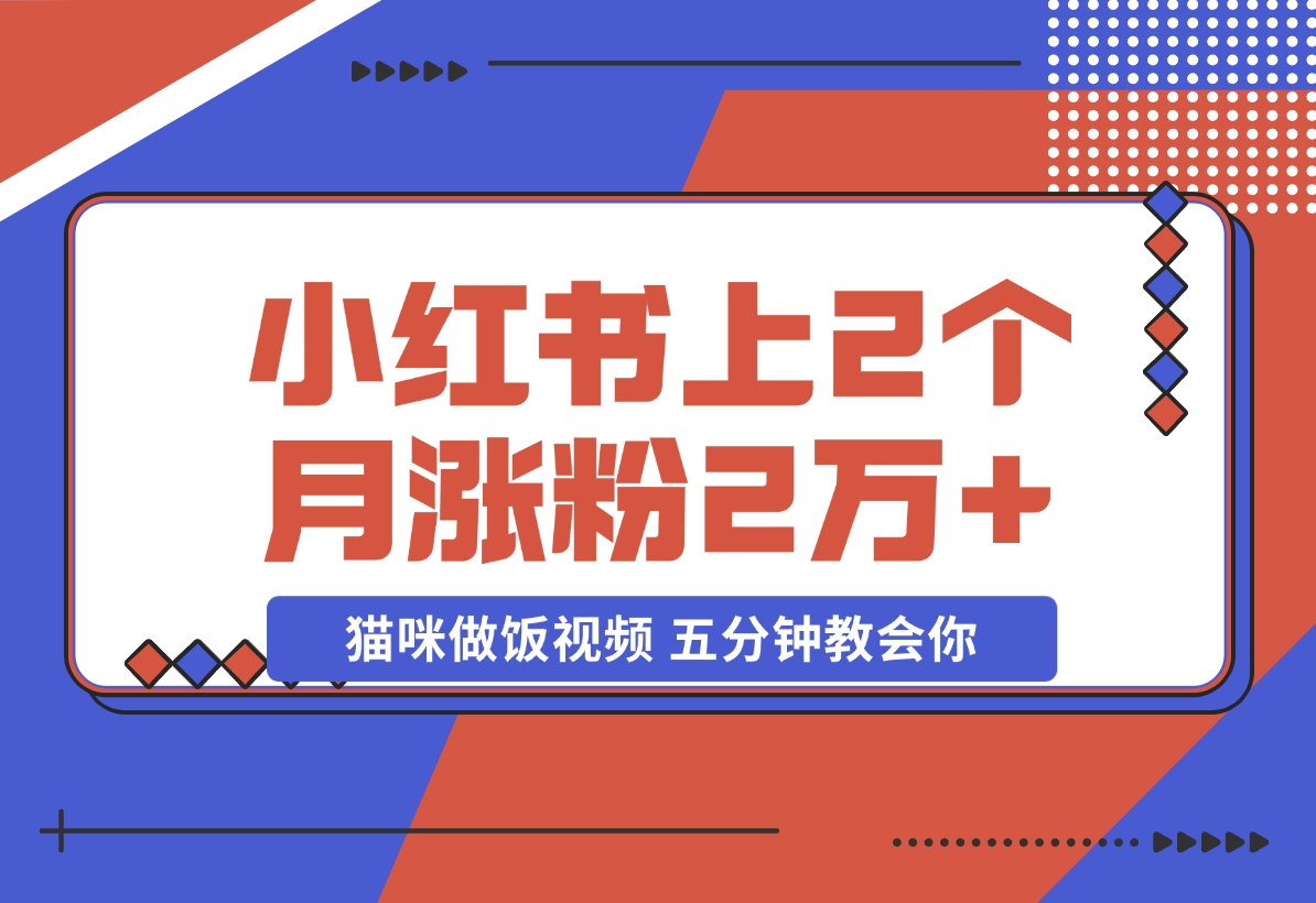 【2024.11.21】小红书上2个月涨粉2万+ 的猫咪做饭视频 五分钟教会你-小罗轻创